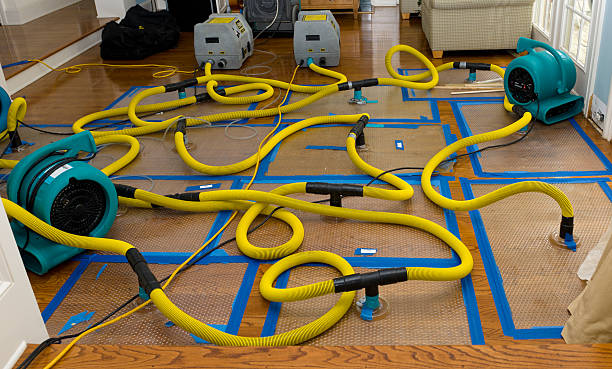 Professional Water Extraction technician working in Industry, TX